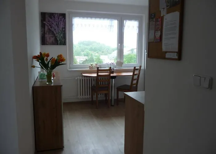 Q11 Appartement Sokolov
